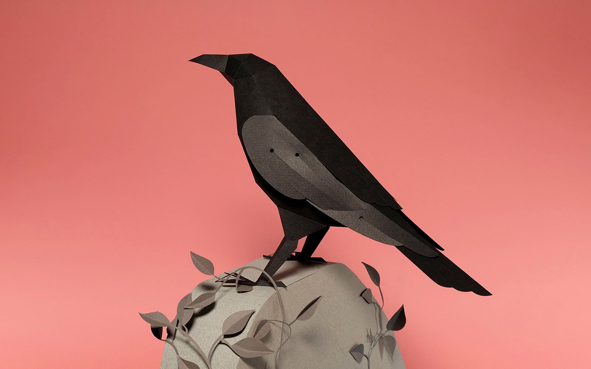 3D Paper Model - Corvus Corvax (Raven)