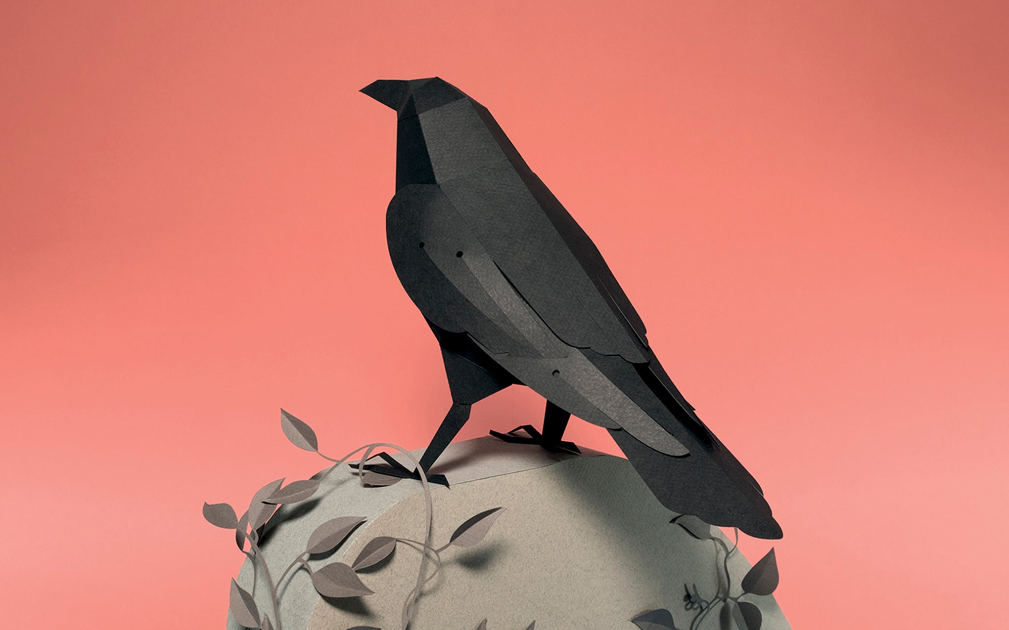 3D Paper Model - Corvus Corvax (Raven)