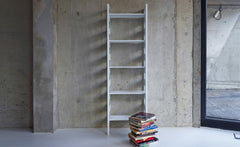 Parallel shelving upright