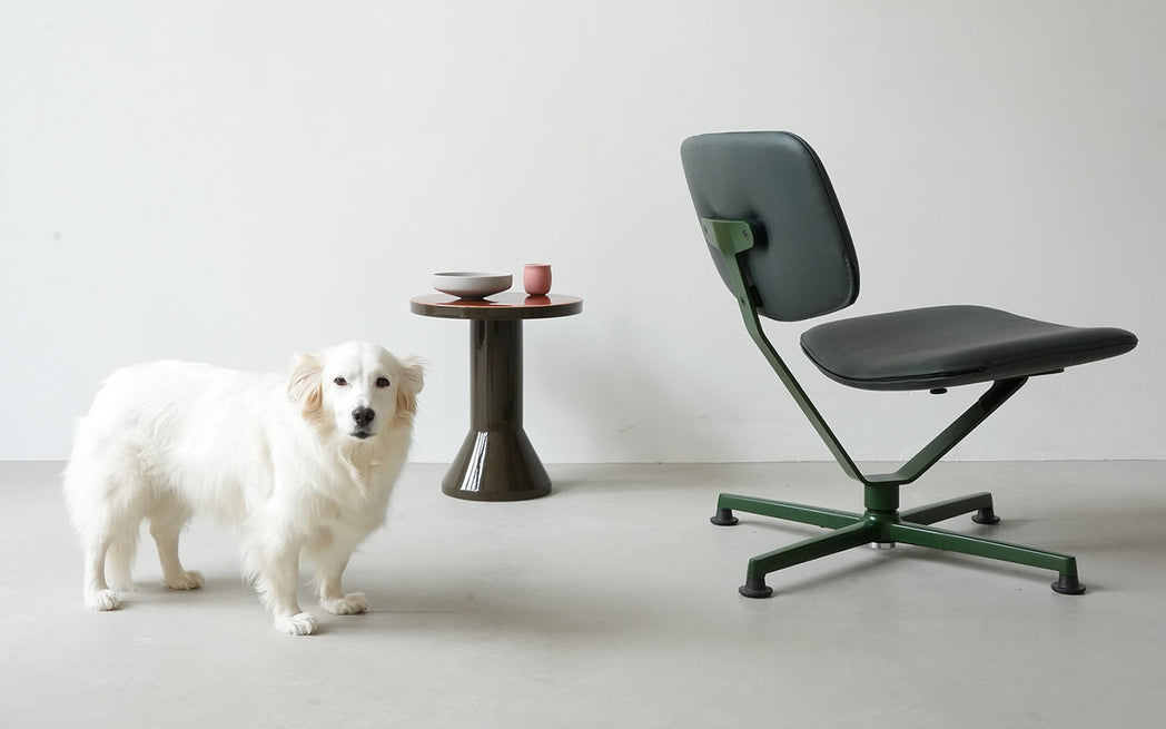 Arba lounge chair by Erwan Bouroullec for raawii | SCP