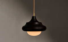 Humboldt pendant 02 - wood