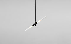 Agnes pendant - 2 lights