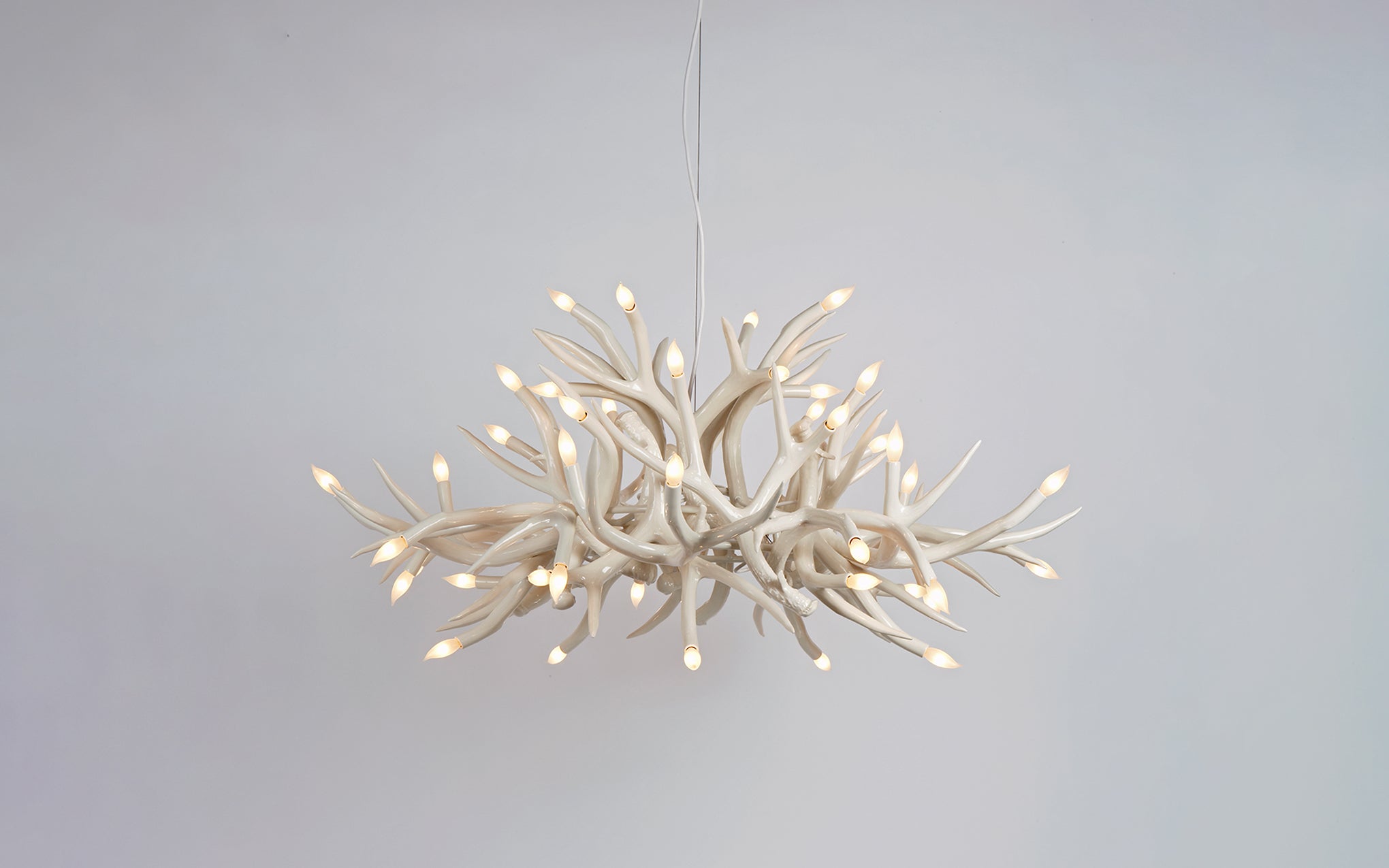 Superordinate Antler chandelier - 24