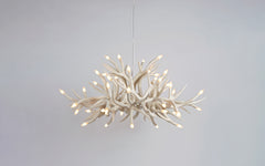 Superordinate Antler chandelier - 24