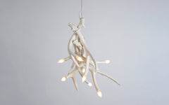 Superordinate Antler chandelier - 4