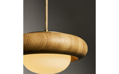 Humboldt pendant 01 - wood