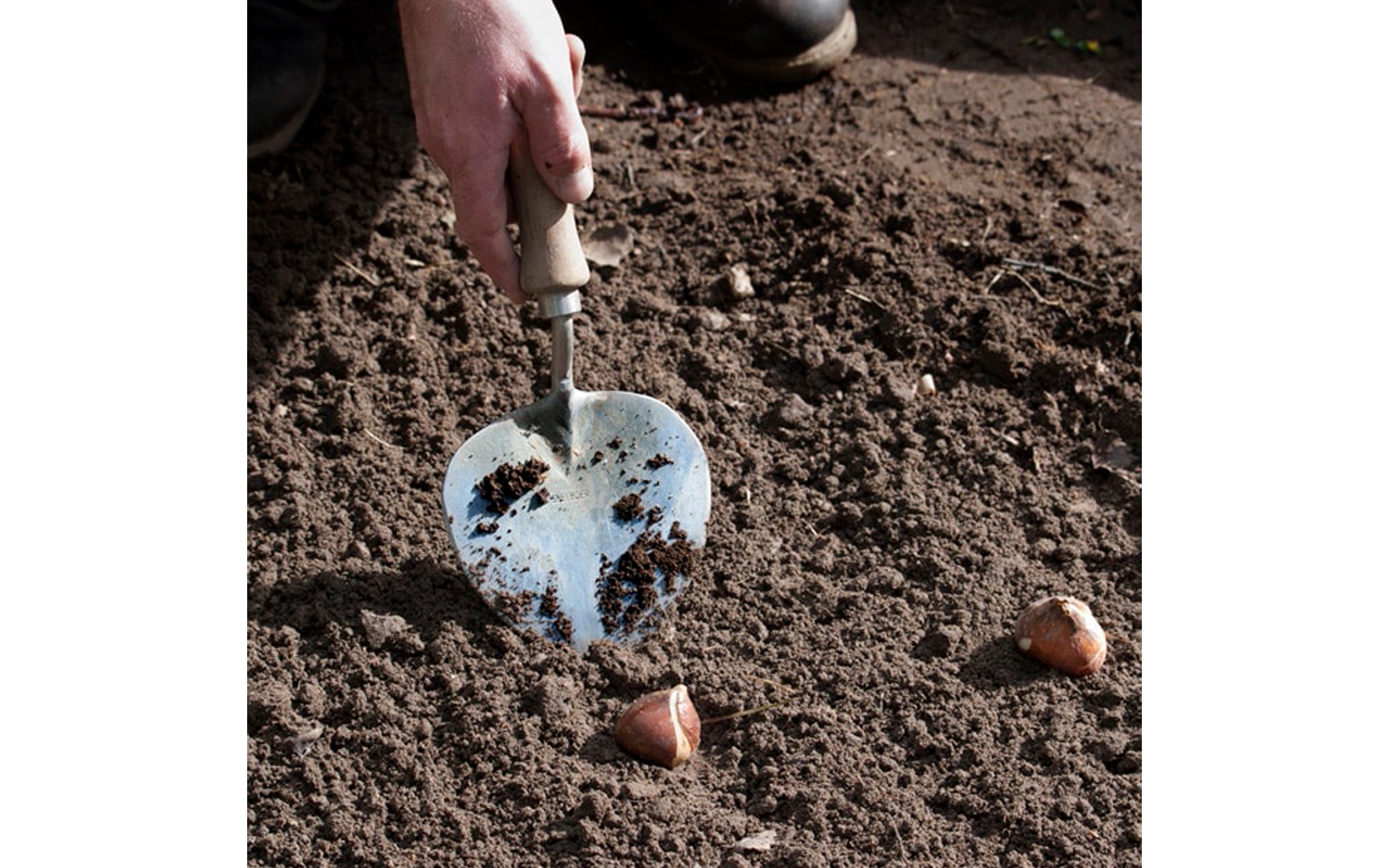 Old Dutch Style Planting trowel