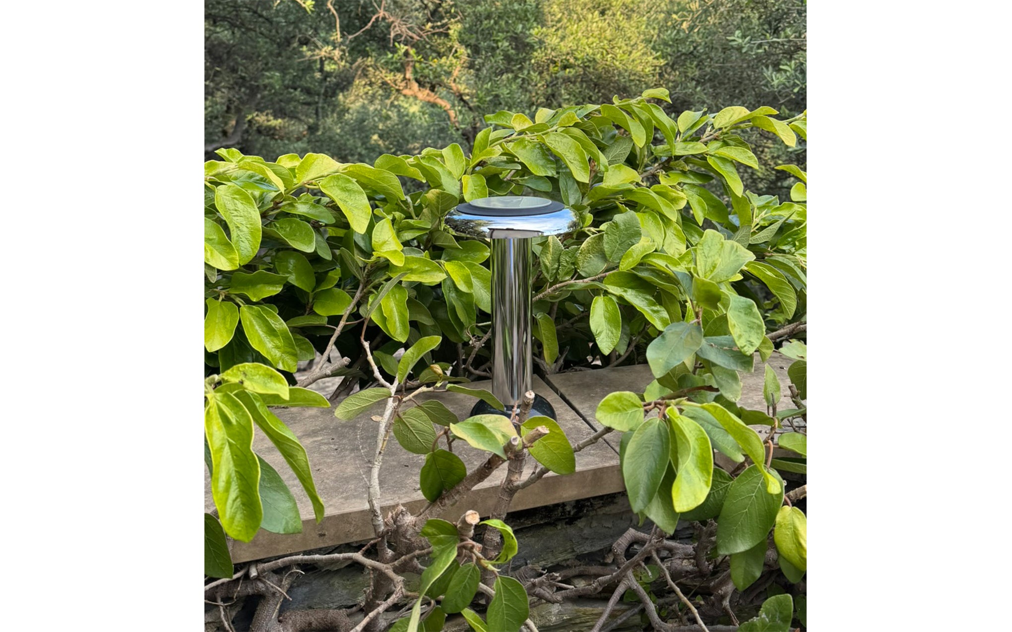 Lamp PL6 - dual functionality