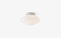 Mist AP22 ceiling/wall lamp