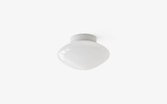 Mist AP22 ceiling/wall lamp
