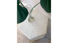 Star podium - winter