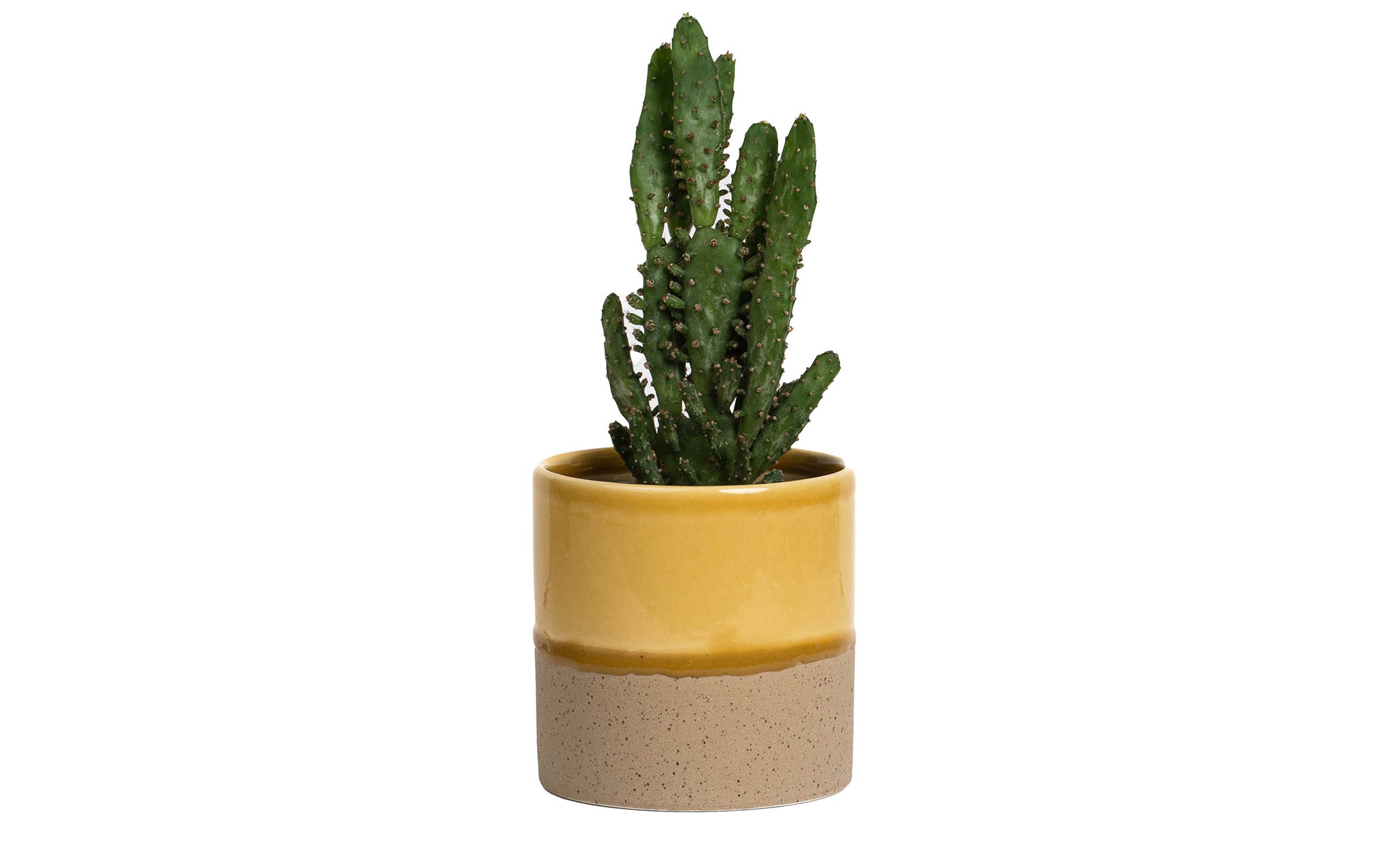 Drip ceramic planter
