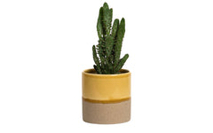 Drip ceramic planter