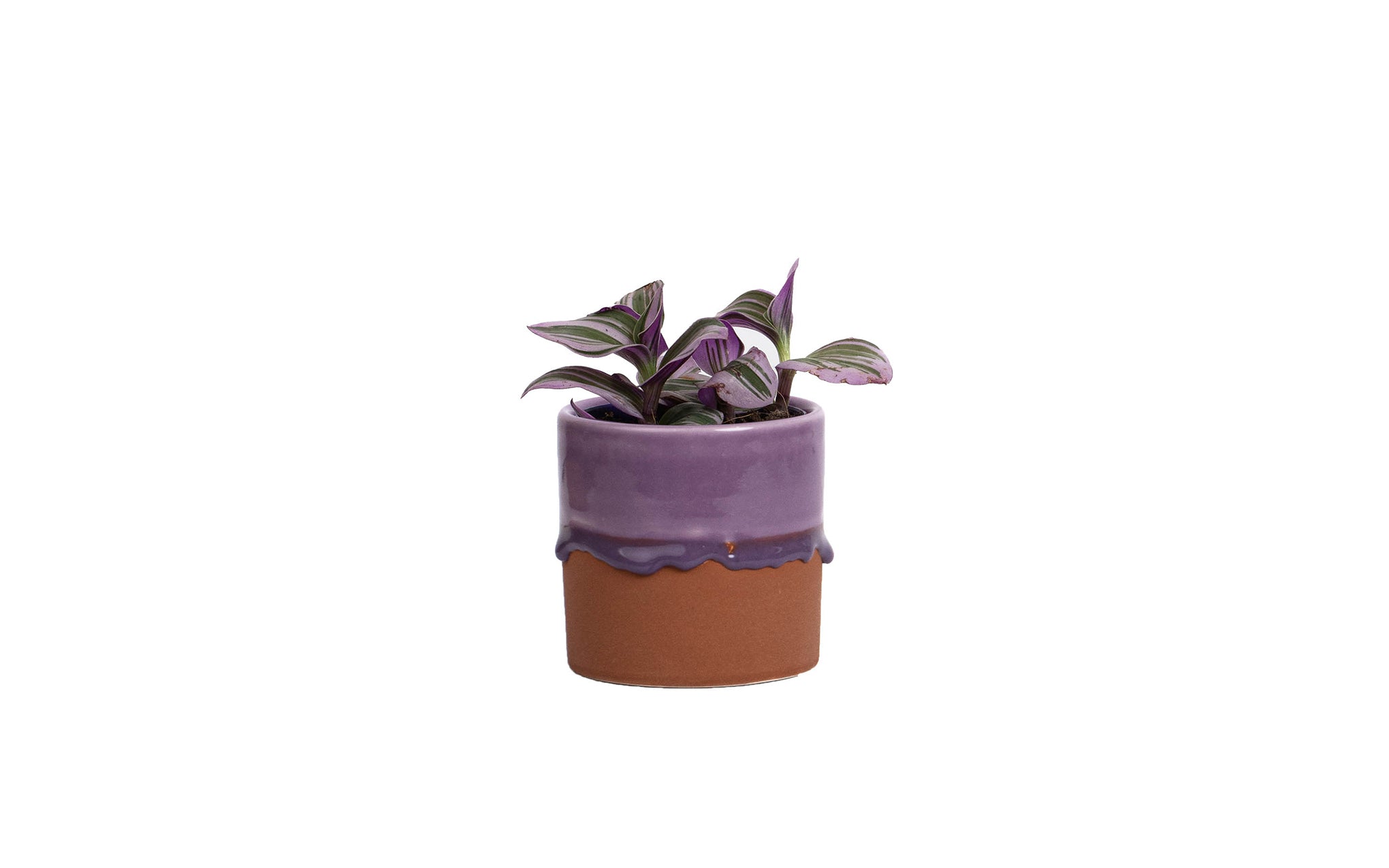 Drip ceramic planter