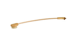 Back scratcher brush
