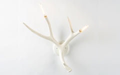 Superordinate Antler wall lamp