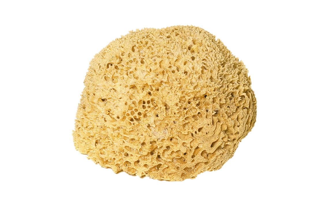 Bath sponge