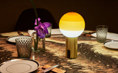 Dipping portable light