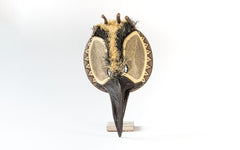Panamanian ceremonial bird mask