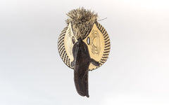 Panamanian ceremonial bird mask