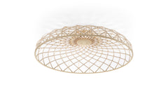 Skynest ceiling light
