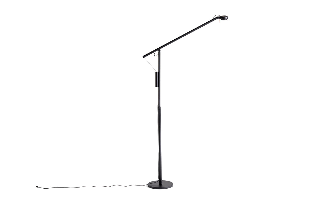 Fifty-Fifty floor light