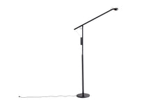 Fifty-Fifty floor light