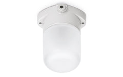 Lisilux cylinder ceiling lamp