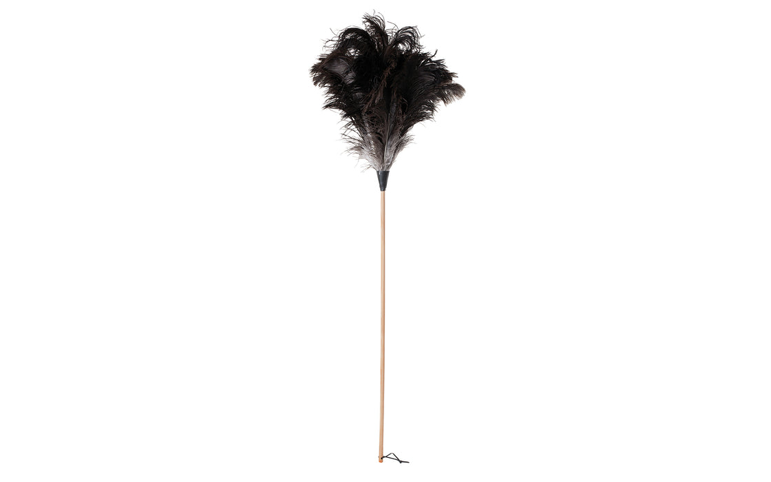 Ostrich feather duster