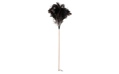 Ostrich feather duster