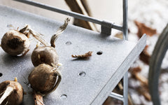 String - outdoor configuration L