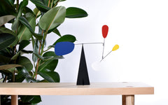 Paris 35 Standing mobile