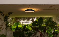 Plaff-On! wall/ ceiling light