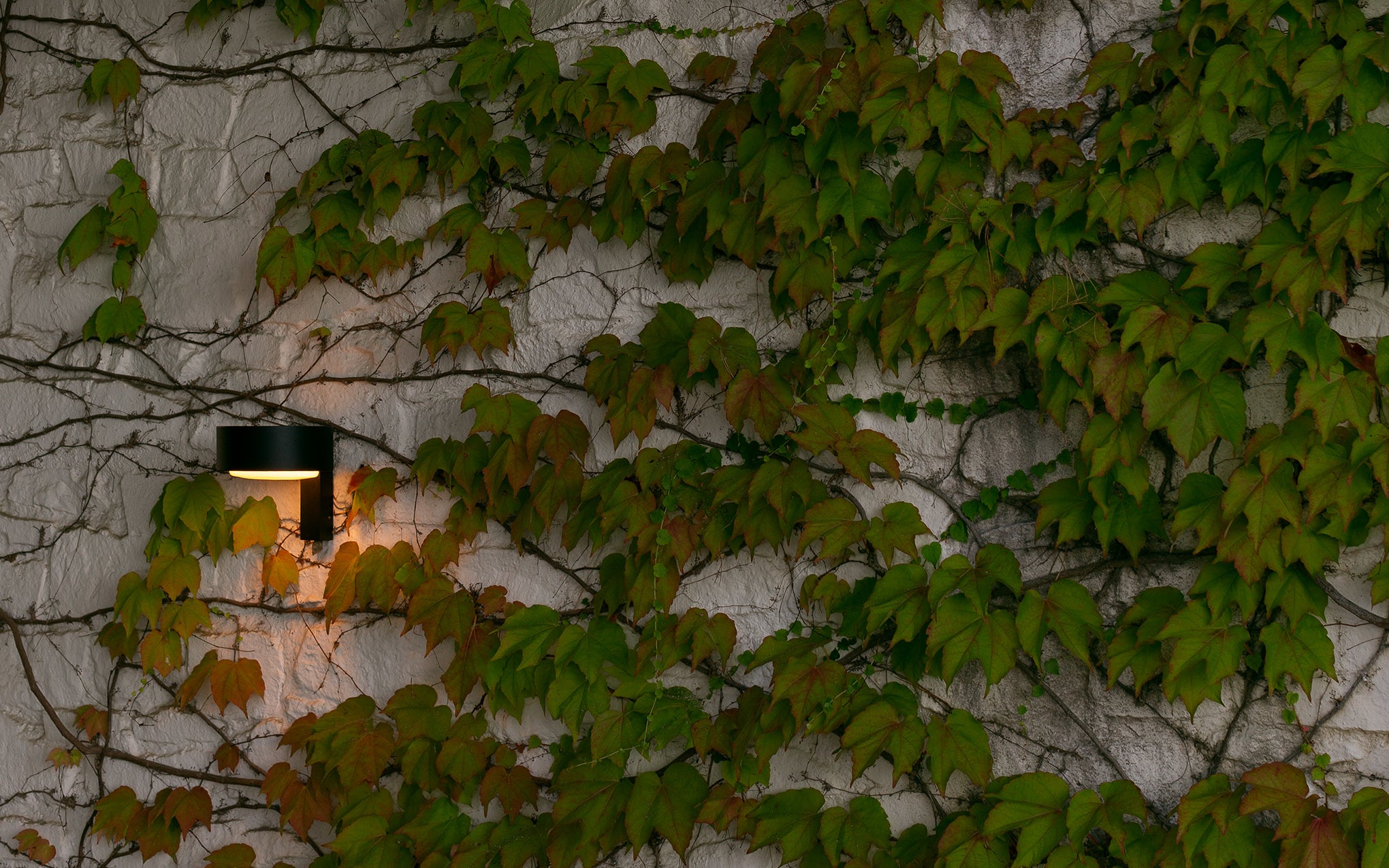 Plaff-on! A wall light