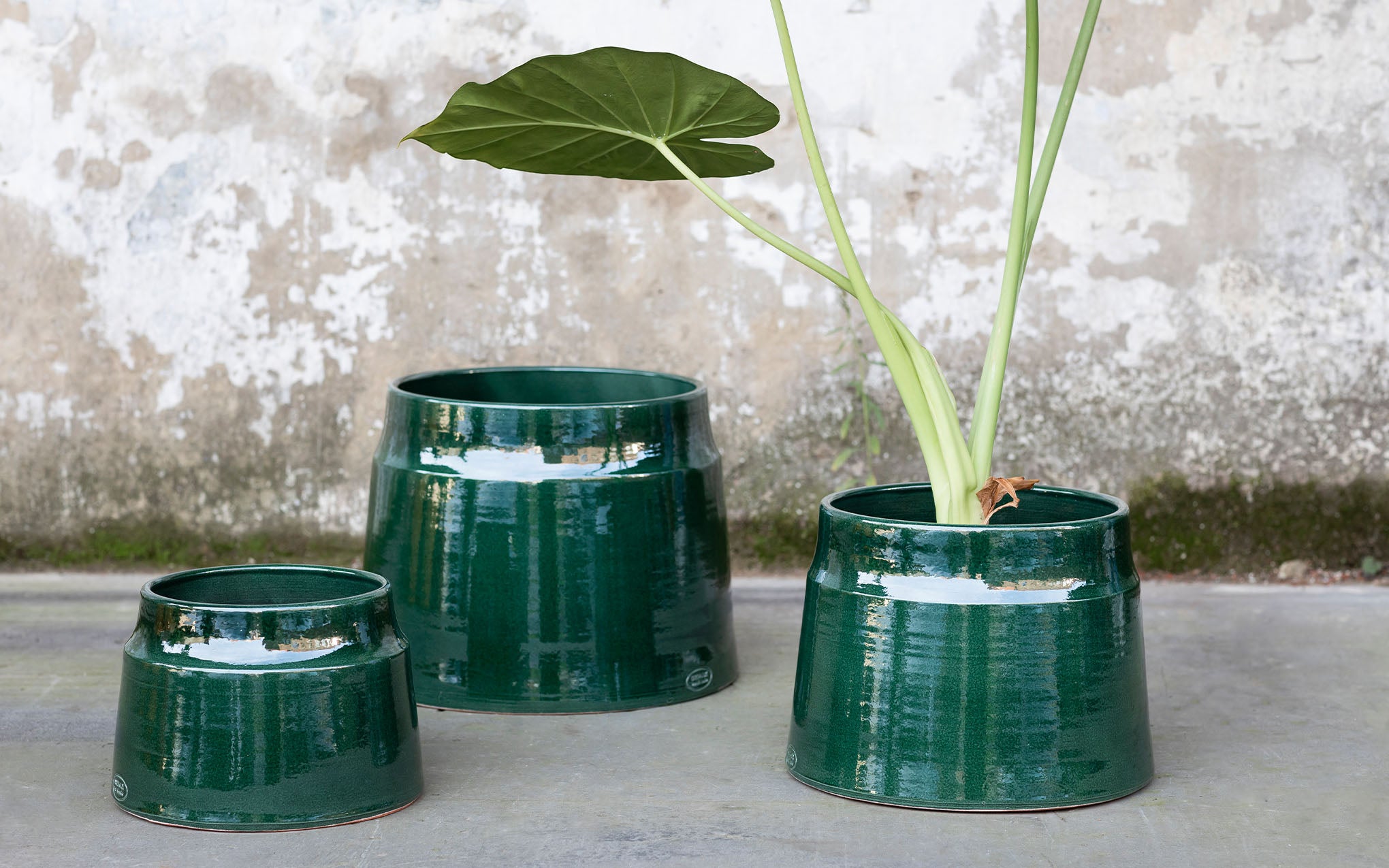 Flower pot by Serax | SCP