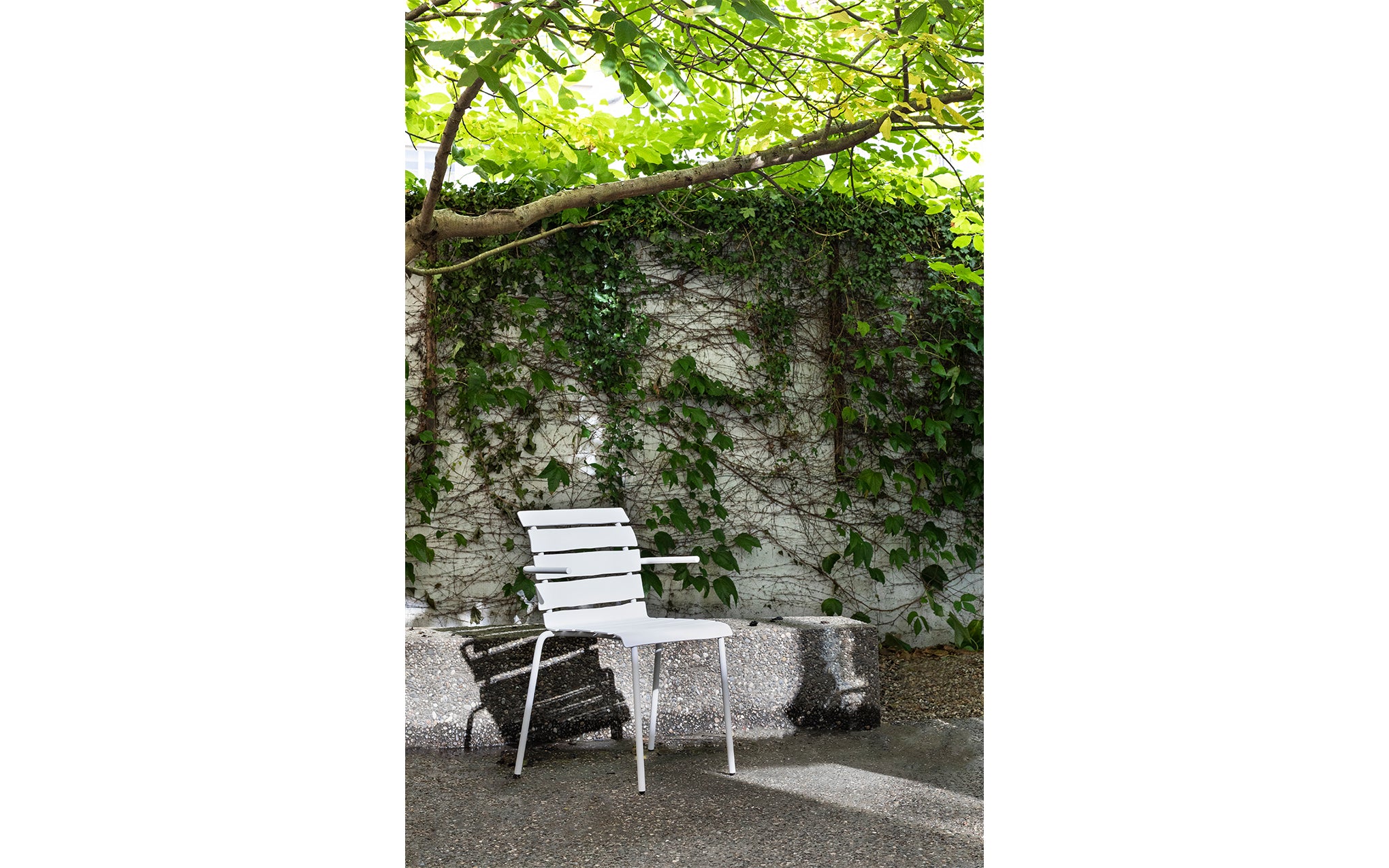 Aligned dining armchair