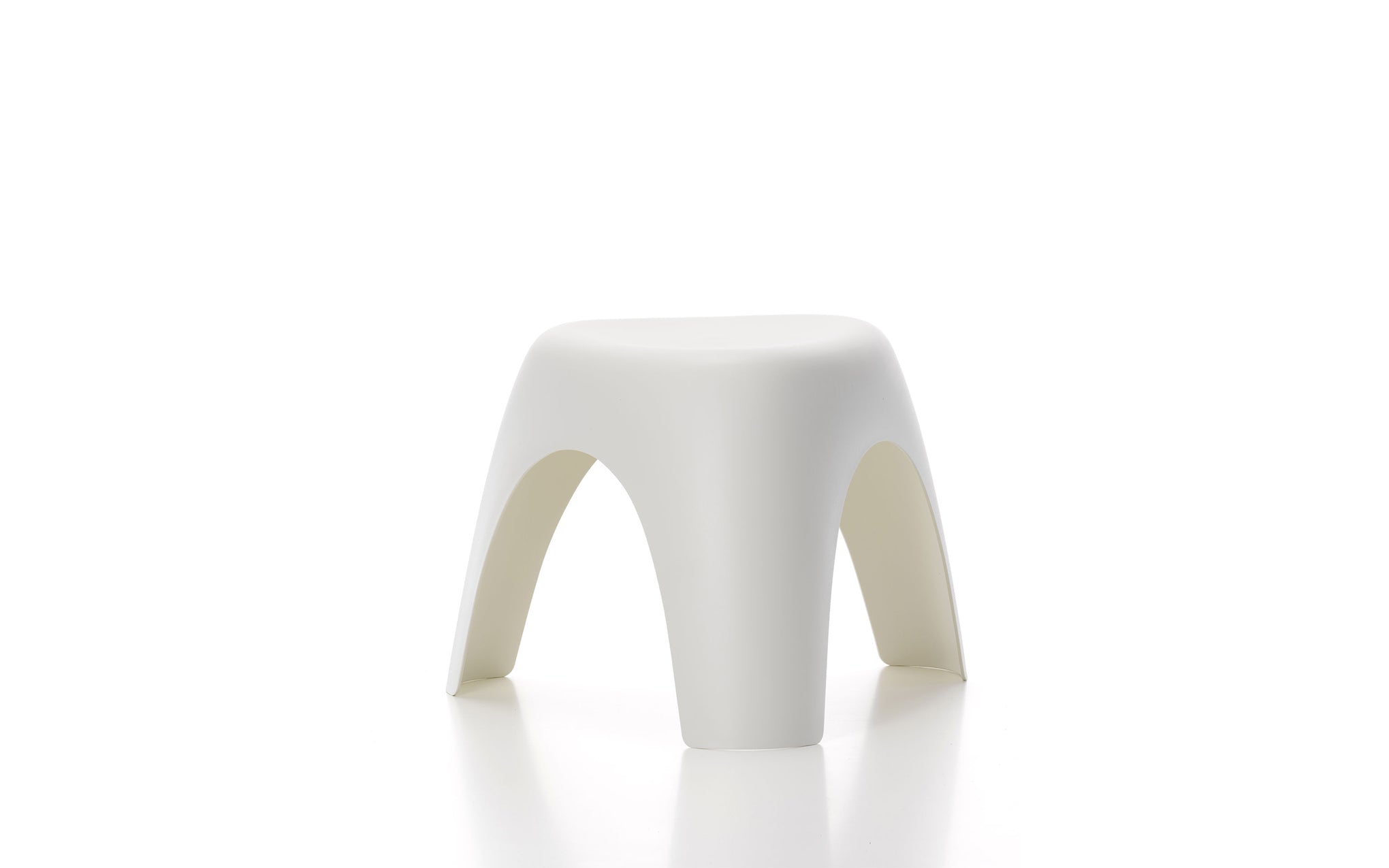 Elephant stool