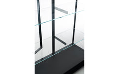 Wunderkammer display cabinet