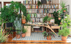 Albero flowerpot stand