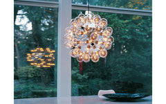 Taraxacum 88 suspension