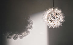 Taraxacum 88 suspension