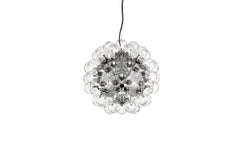 Taraxacum 88 suspension