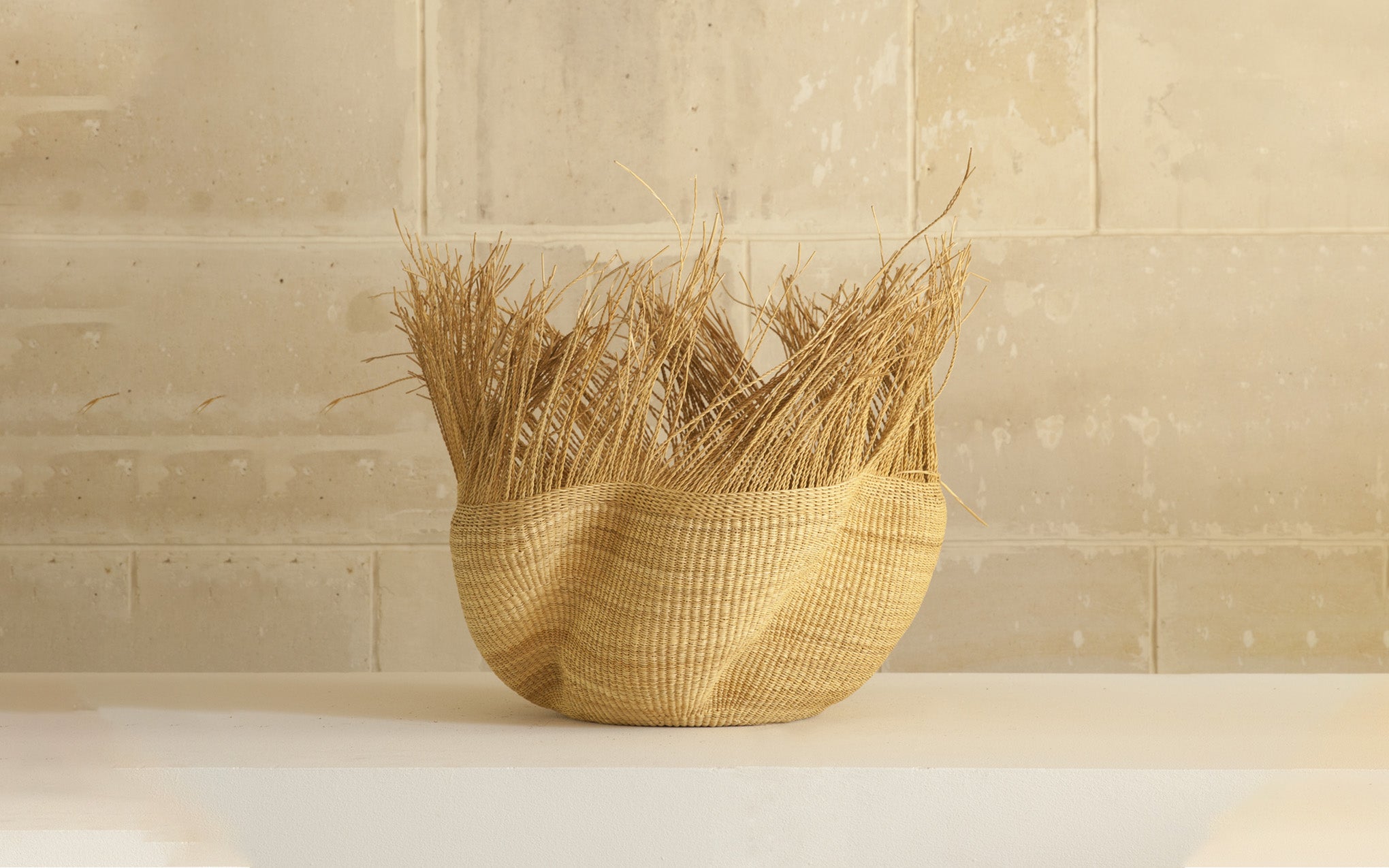 Wavy Furry Basket